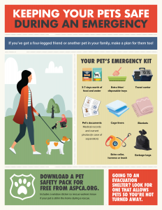 Pet Safety Infographic