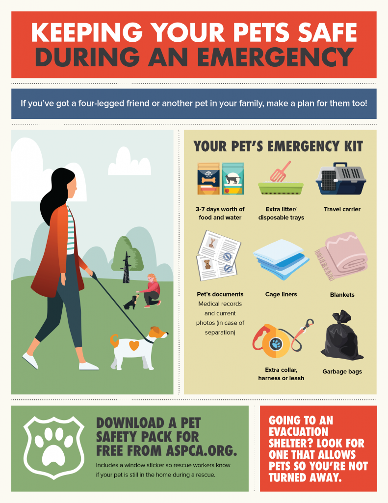 Pet Safety Infographic